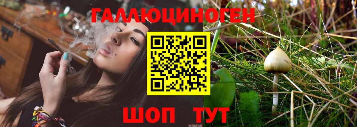 Галлюциногенные грибы мицелий Кстово