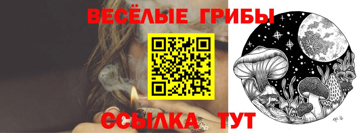 Кстово  Галлюциногенные грибы ЛСД  Вход с VPN 